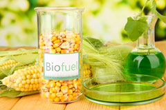 Blaenannerch biofuel availability